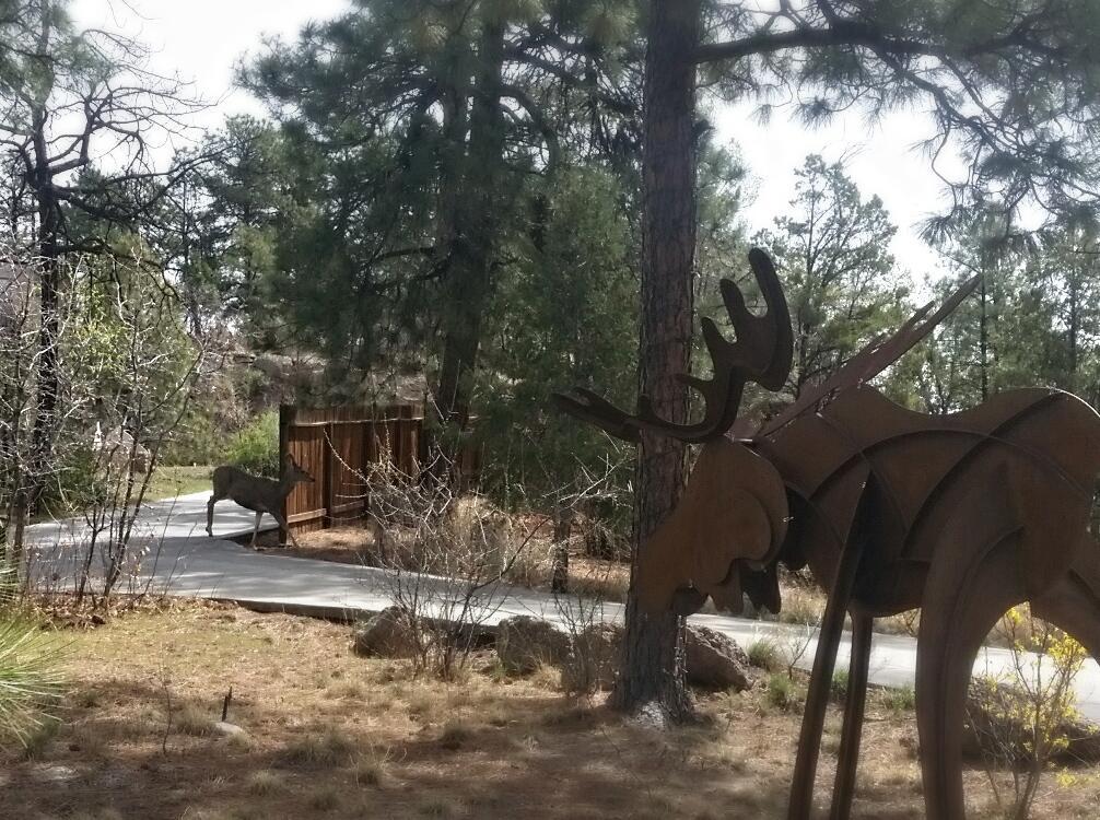 Pueblo Canyon 3* Los Alamos